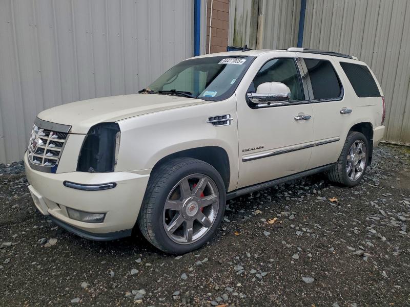 2011 CADILLAC ESCALADE P #3297055538