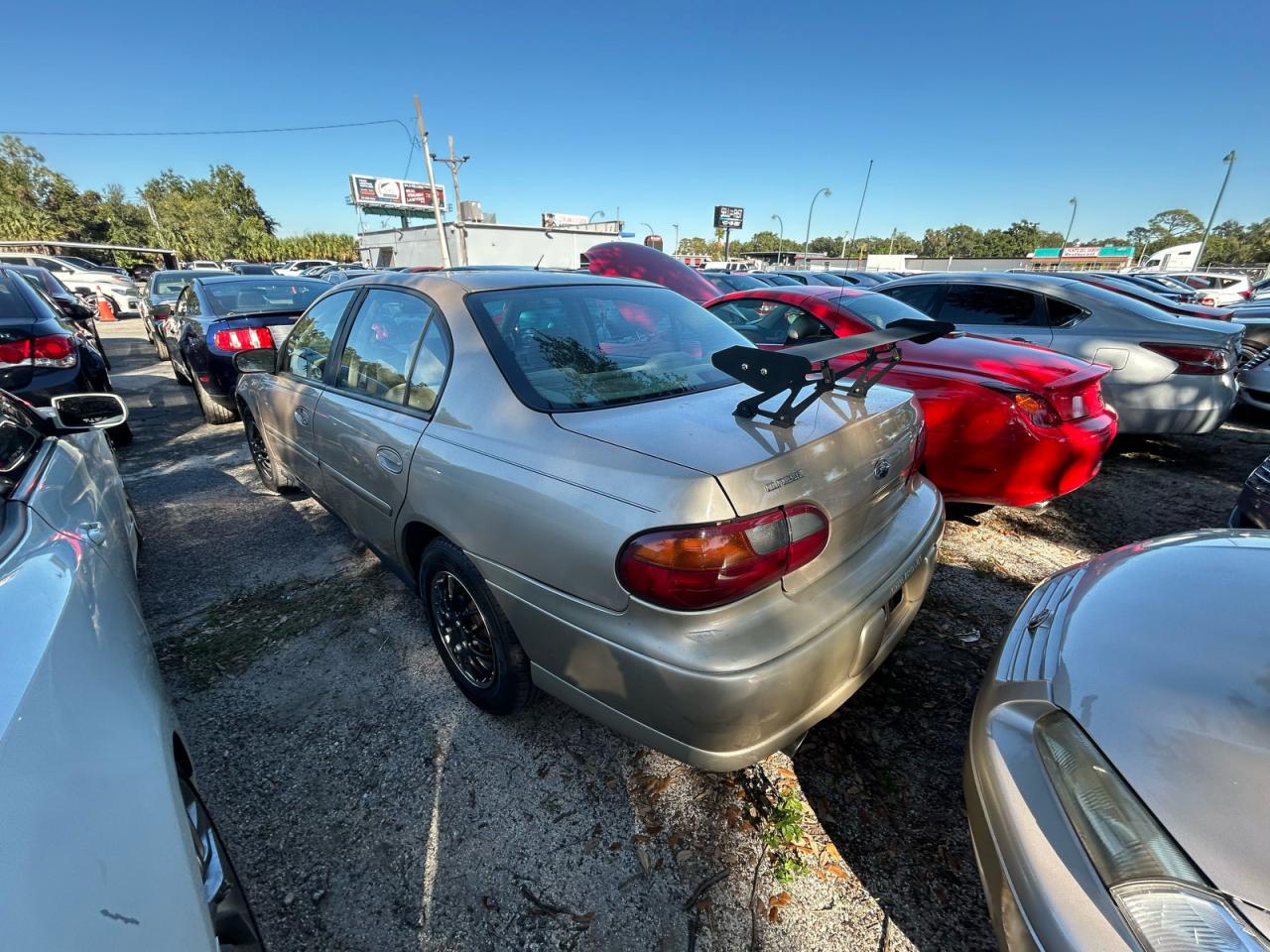 Lot #3287313994 2005 CHEVROLET CLASSIC