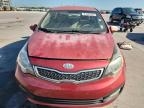 Lot #3303925691 2013 KIA RIO EX