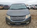 Lot #3301945450 2013 HONDA ODYSSEY TO