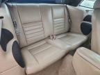 Lot #3297024354 1999 FORD MUSTANG GT