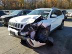 Lot #3303882733 2021 JEEP CHEROKEE L