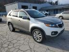 Lot #3296282421 2011 KIA SORENTO BA