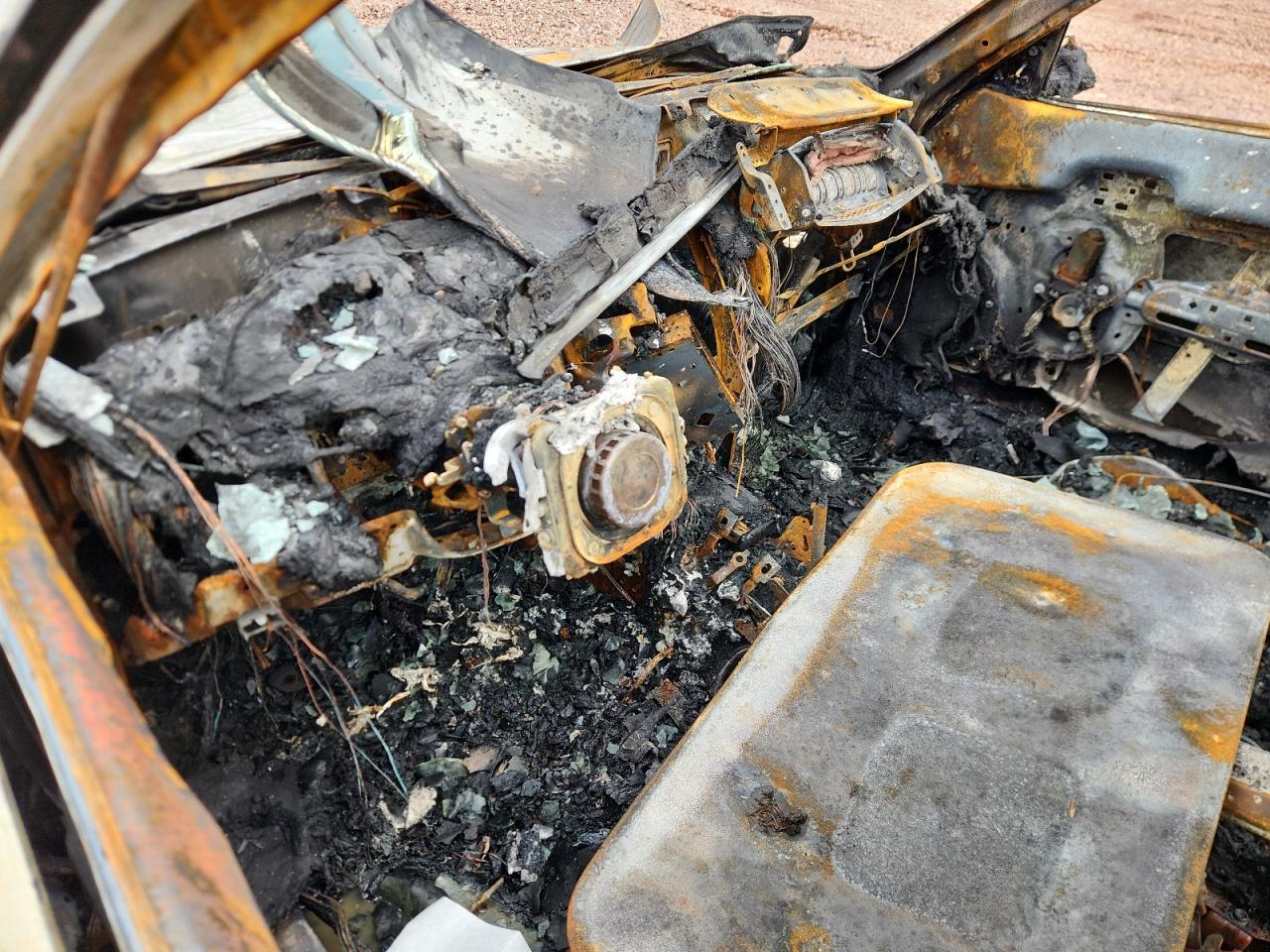 Lot #3303072768 1995 TOYOTA COROLLA LE