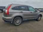 Lot #3305463062 2009 HONDA CR-V EXL