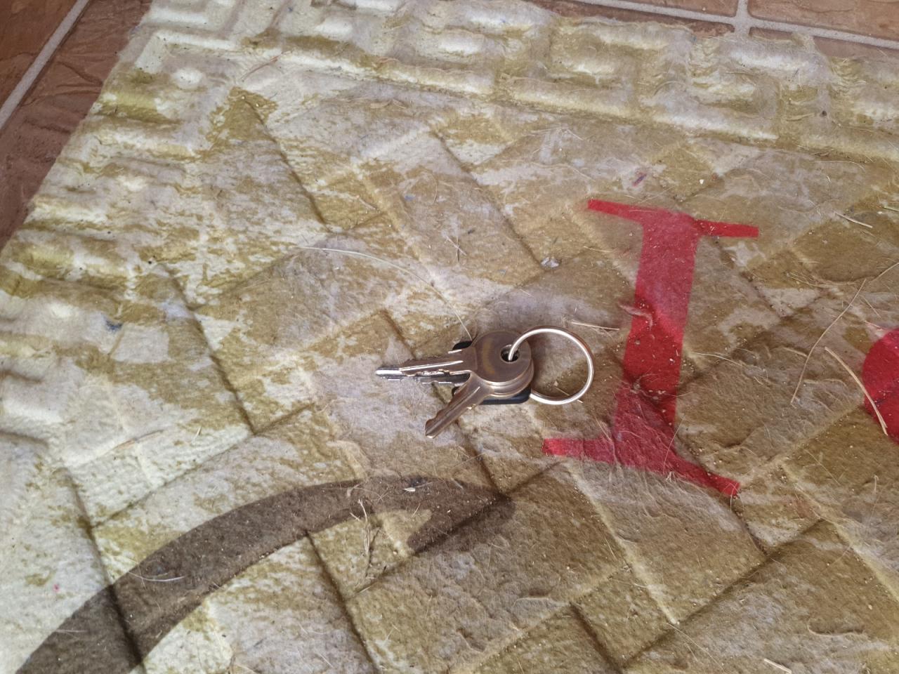 Lot #3294813753 2006 FRRV CHEROKEE