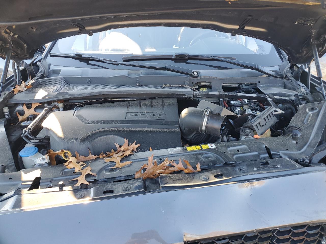 JAGUAR E-TYPE R-DYNAMIC S