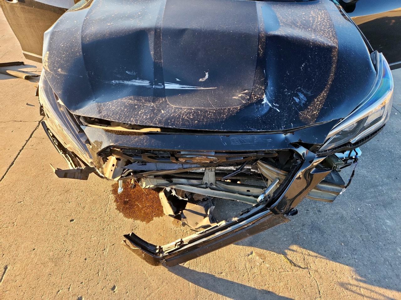 SUBARU OUTBACK WILDERNESS