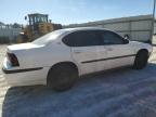 Lot #3292398290 2005 CHEVROLET IMPALA