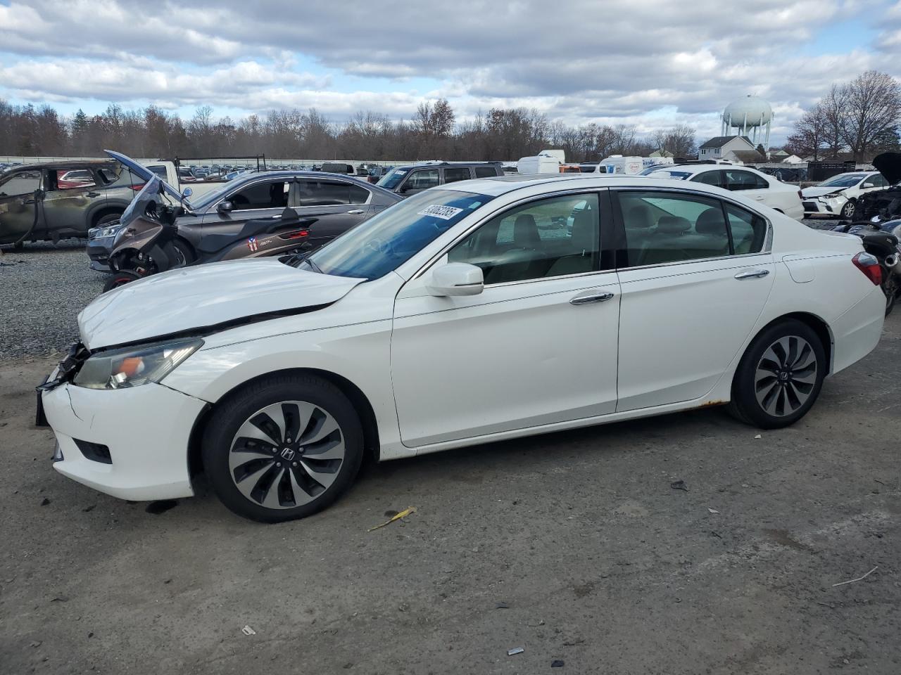 Lot #3301796343 2014 HONDA ACCORD HYB