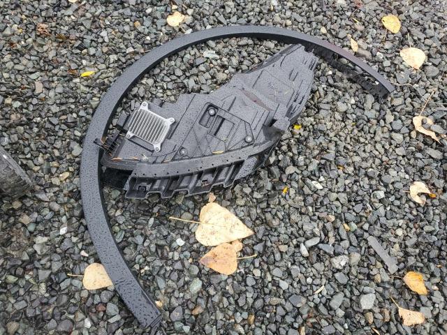 2025 TESLA MODEL Y #3302963643