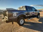 Lot #3294319879 2014 FORD F150 SUPER