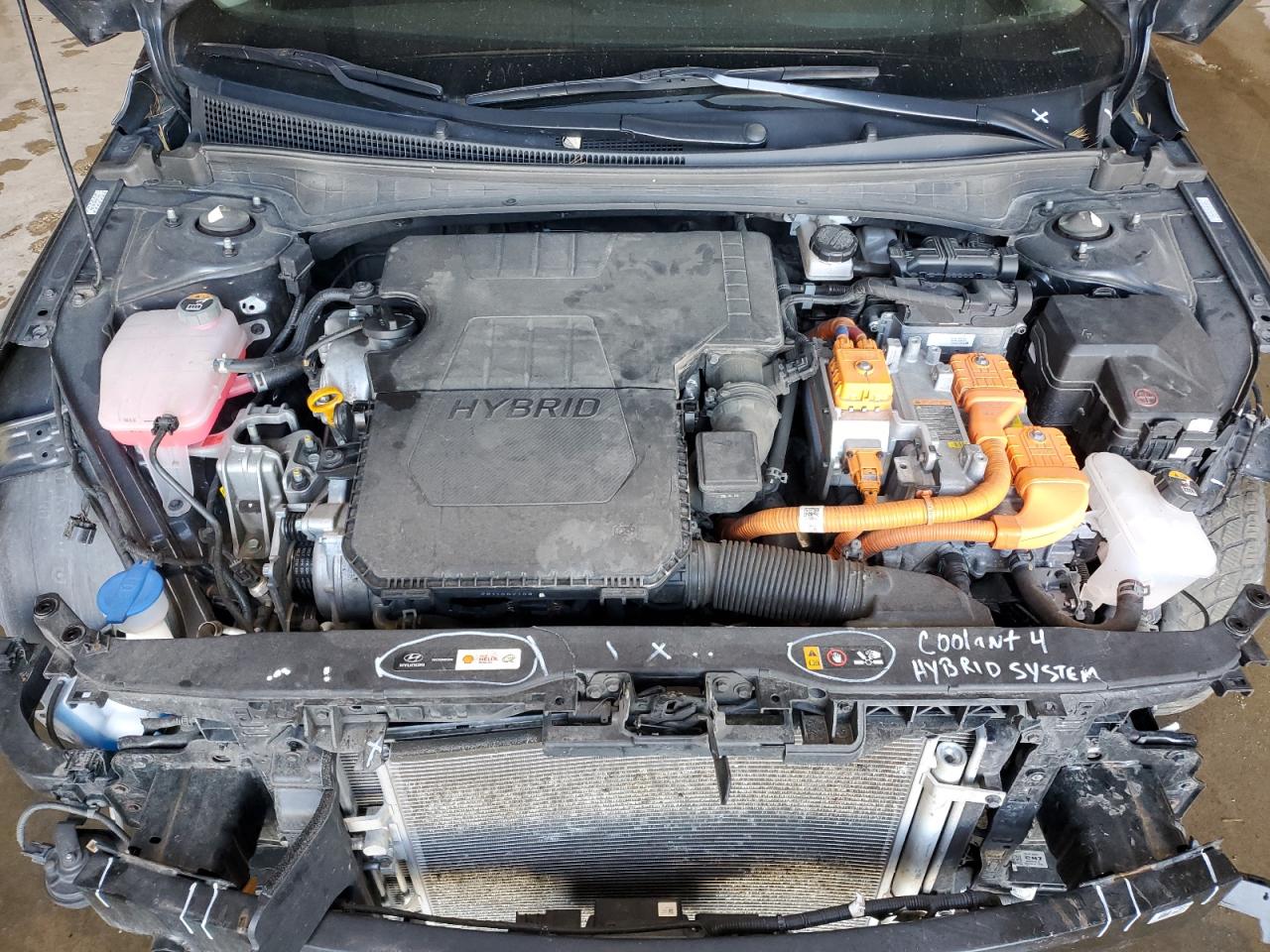 Lot #3301986450 2023 HYUNDAI ELANTRA BL