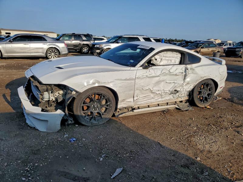 2019 FORD MUSTANG #3305586133