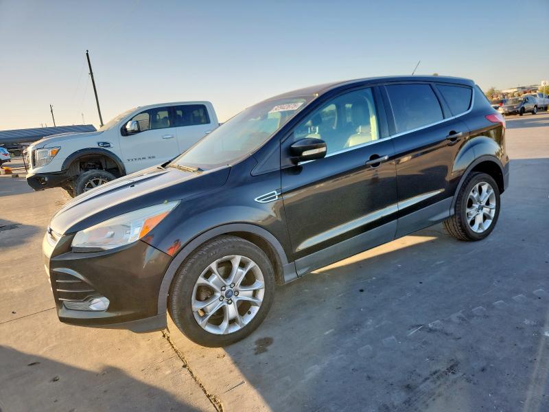 Global Auto Auctions: 2013 FORD ESCAPE SEL
