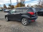 Lot #3310579048 2019 FORD ESCAPE TIT