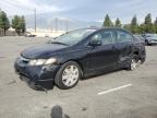 Lot #3303937717 2008 HONDA CIVIC LX