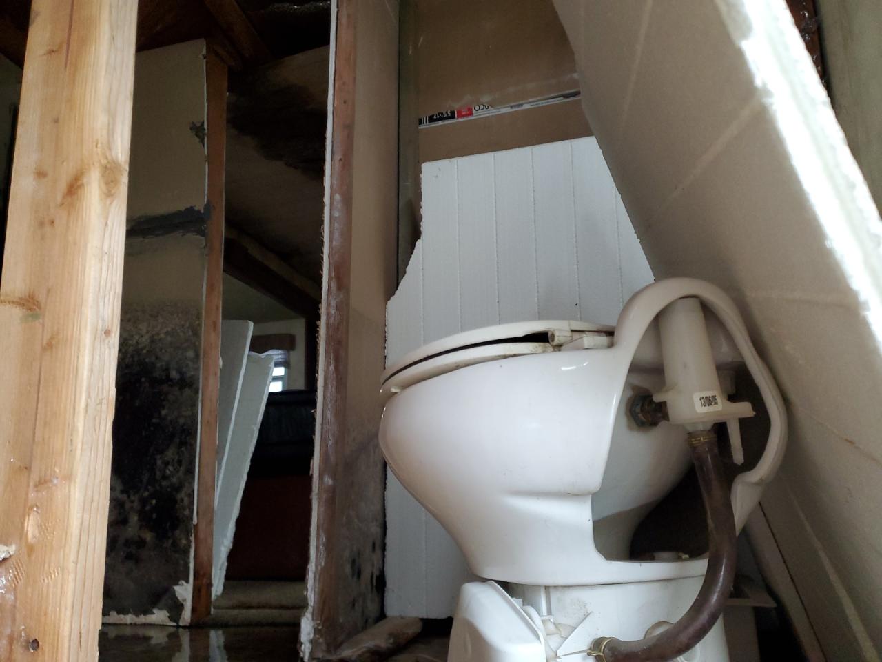 Lot #3309648943 2014 NRTH ARTIC FOX