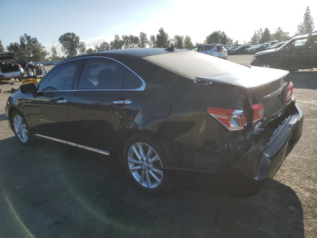 Lot #3308600519 2010 LEXUS ES 350