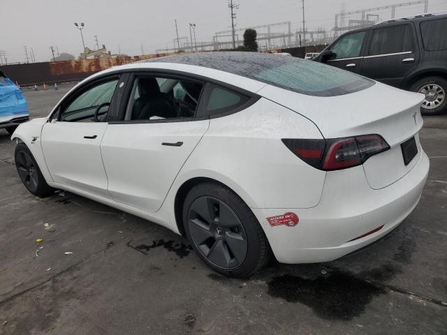 2021 TESLA MODEL 3 #3302893911