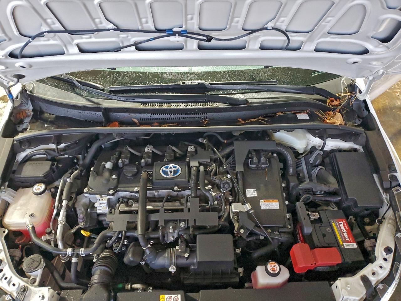 Lot #3309502560 2020 TOYOTA COROLLA LE