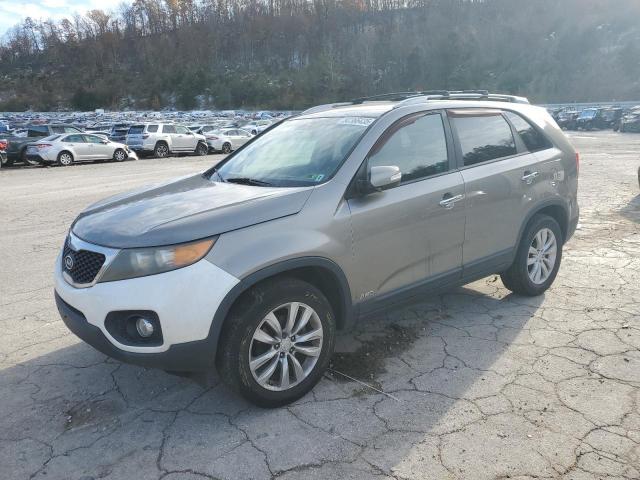 Global Auto Auctions: 2011 KIA SORENTO BA