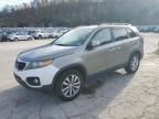 Lot #3296282421 2011 KIA SORENTO BA