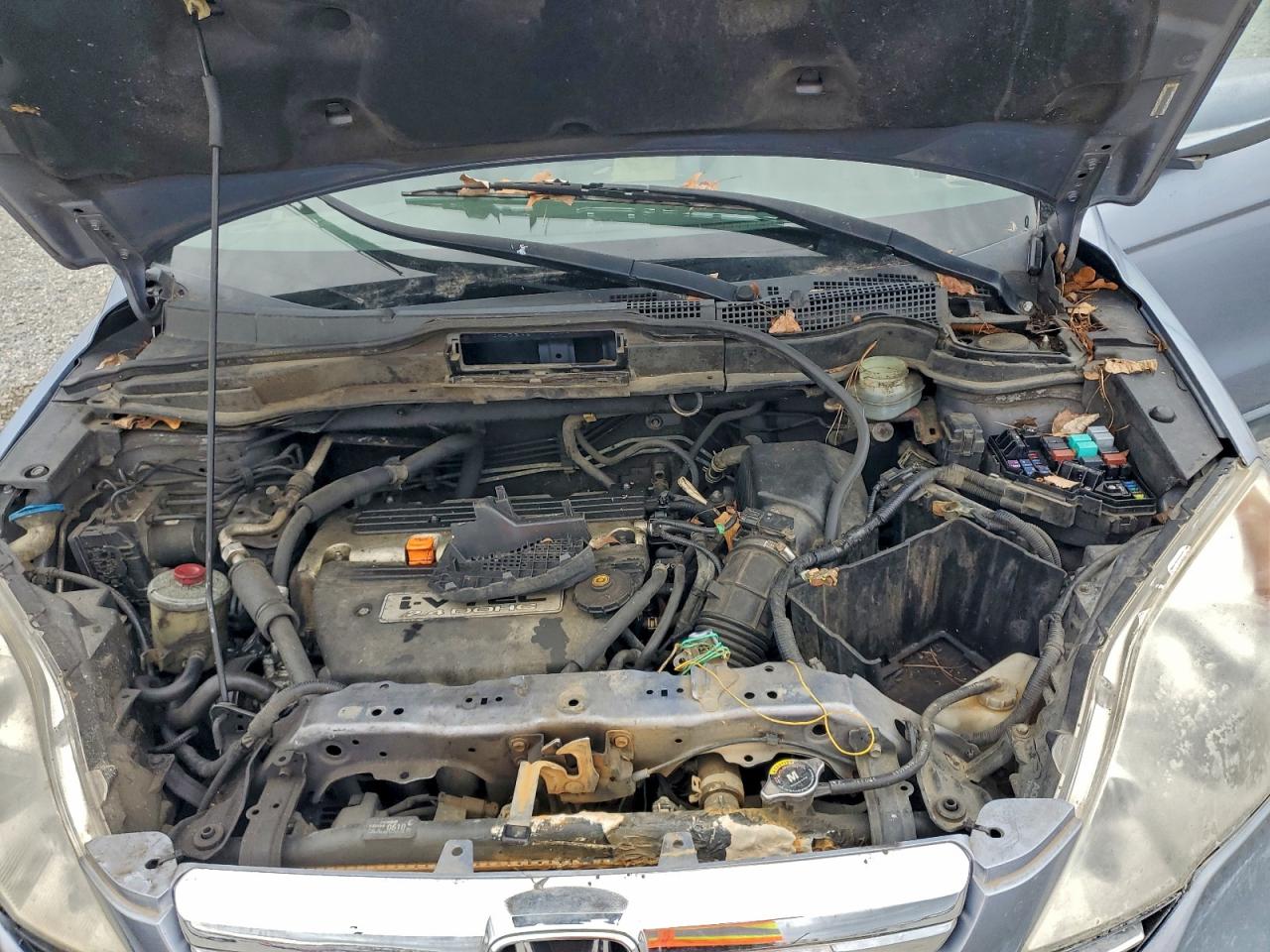 Lot #3302756350 2007 HONDA CR-V EXL