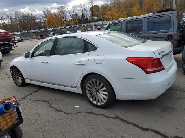 2016 HYUNDAI EQUUS SIGN #3282339310