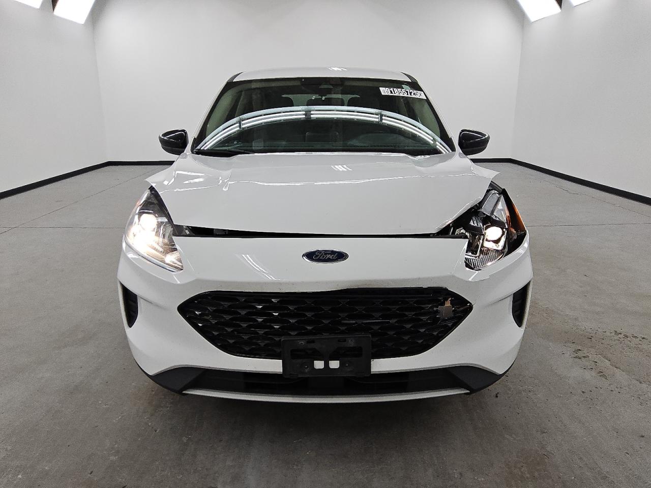 Lot #3303662943 2020 FORD ESCAPE SE