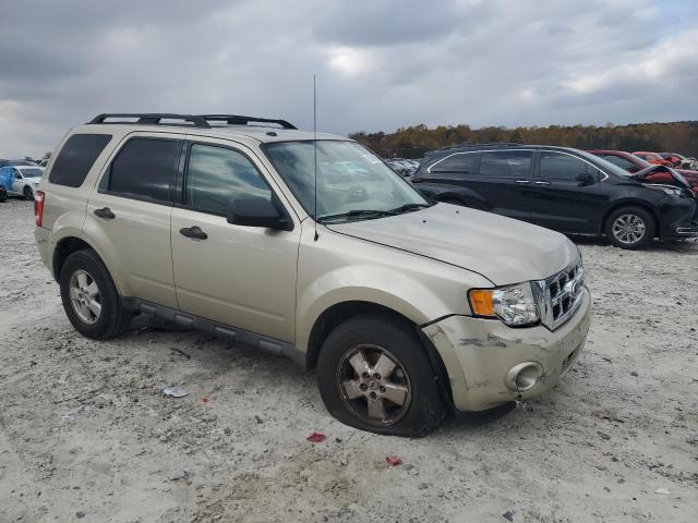 2010 FORD ESCAPE XLT #3287665034