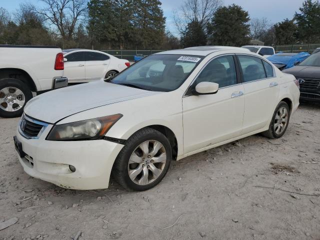 Global Auto Auctions: 2008 HONDA ACCORD EXL
