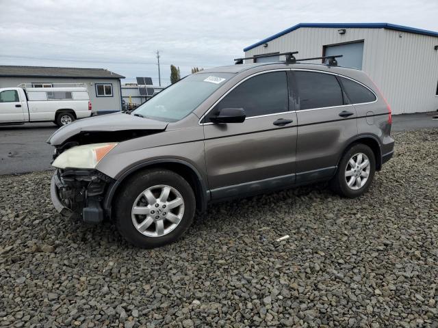 Global Auto Auctions: 2009 HONDA CR-V EX