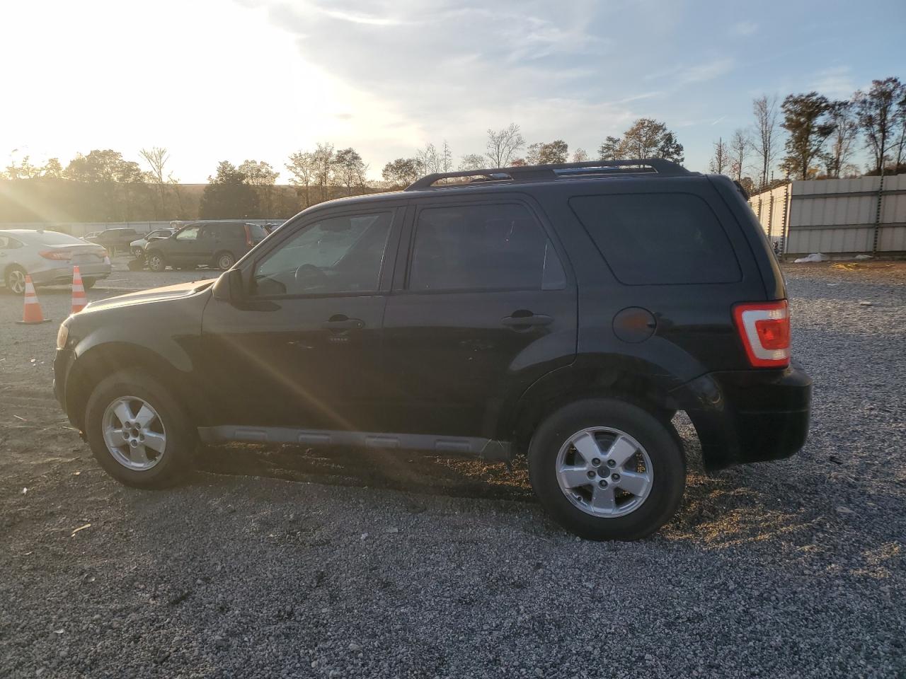 Lot #3303655931 2010 FORD ESCAPE XLT