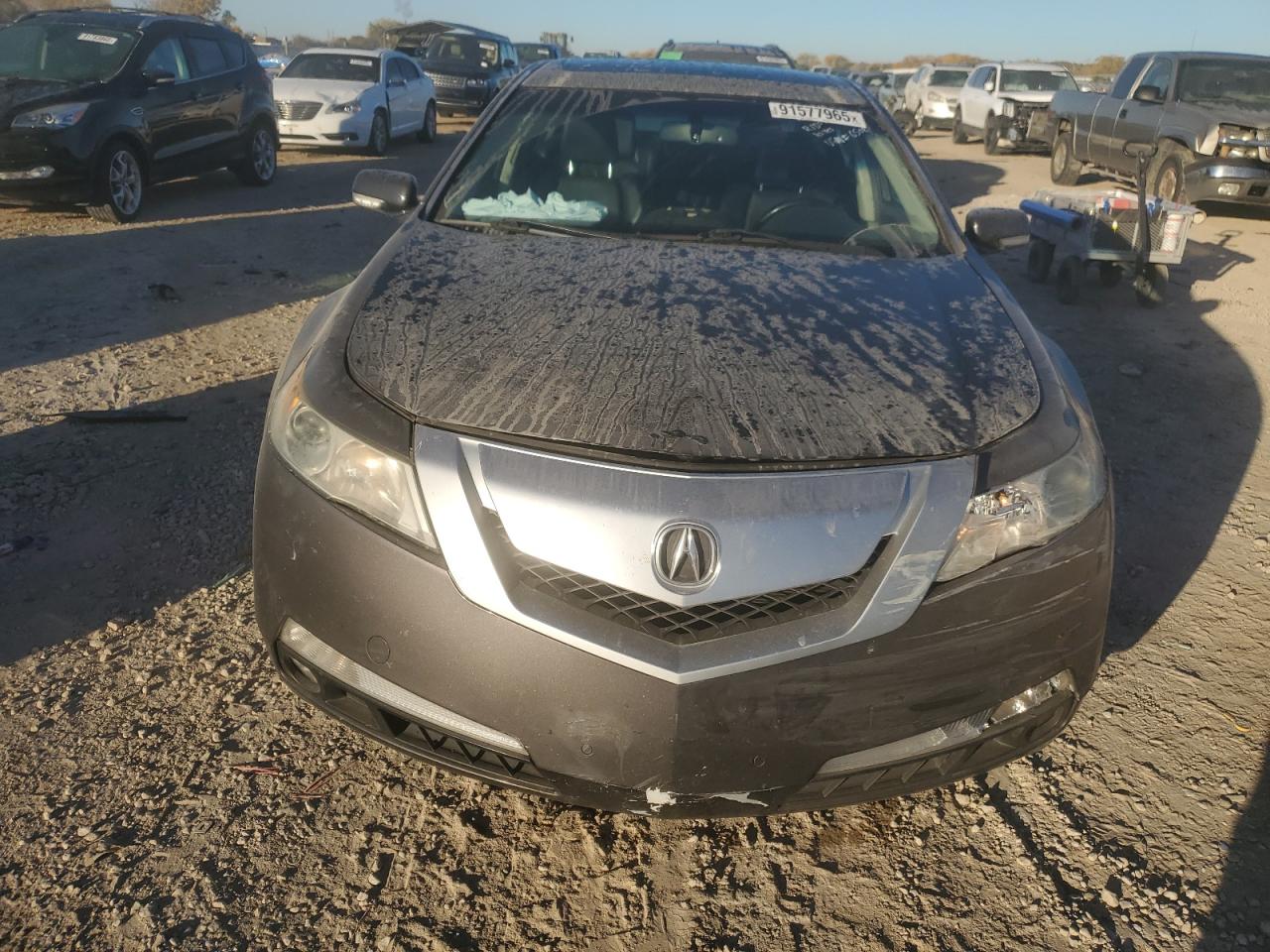Lot #3291299438 2009 ACURA TL