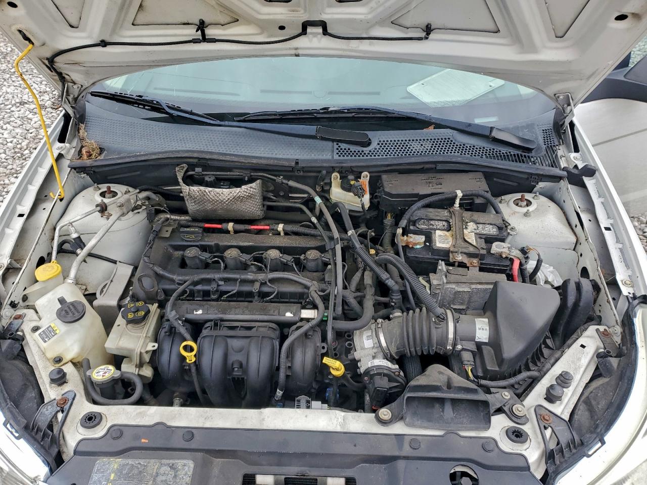 Lot #3302795953 2011 FORD FOCUS SE