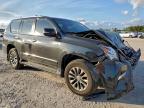 Lot #3303968708 2017 LEXUS GX 460 PRE