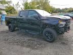 Lot #3305302303 2024 CHEVROLET SILVERADO