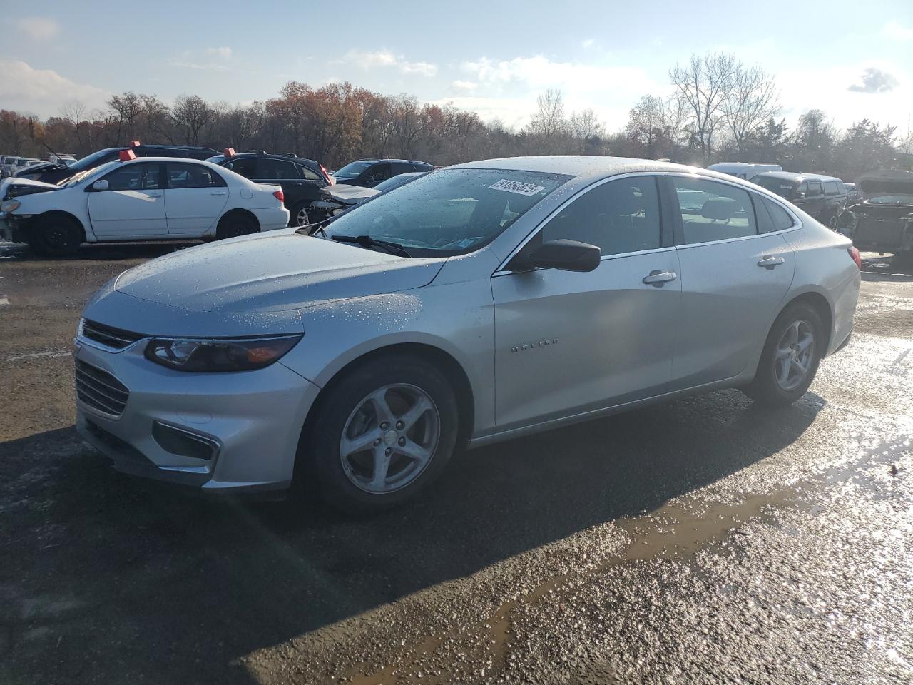 Lot #3303263004 2016 CHEVROLET MALIBU LS