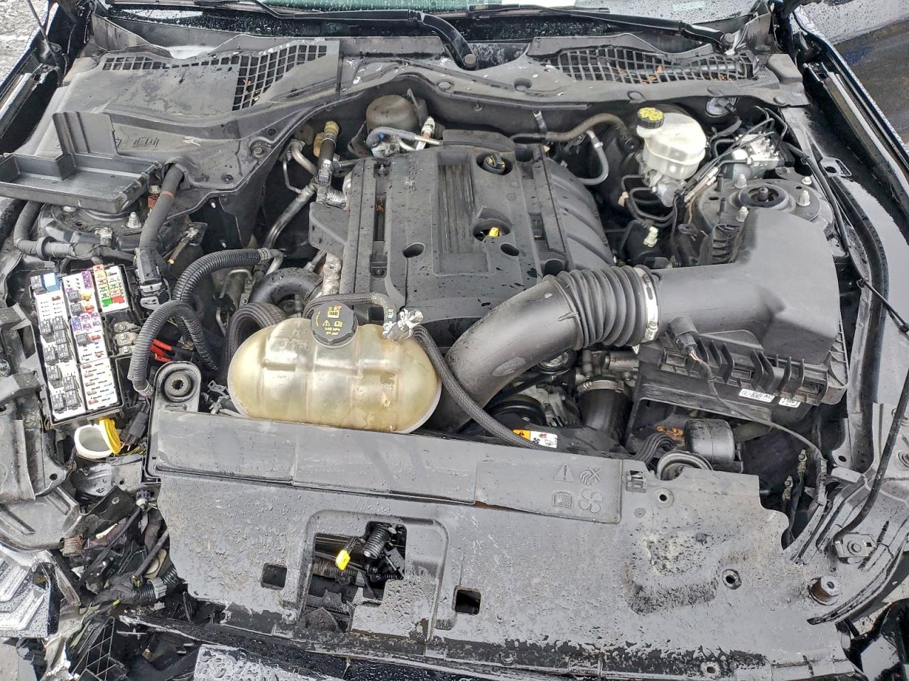 Lot #3304517438 2018 FORD MUSTANG