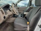 Lot #3302003104 2010 FORD ESCAPE XLS