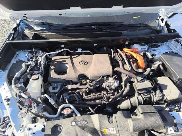 2025 TOYOTA RAV4 SE #3286553180