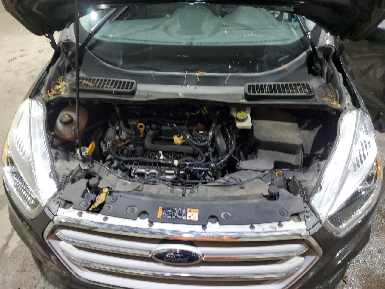 FORD ESCAPE SEL