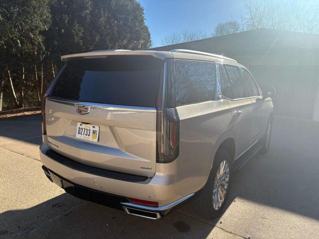 2024 CADILLAC ESCALADE P #3296986817