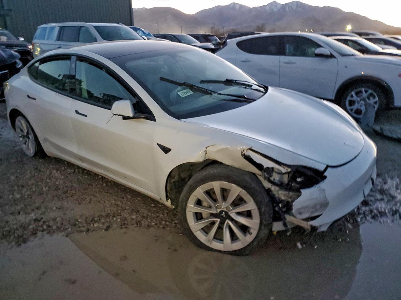 Lot #3311900688 2023 TESLA MODEL 3