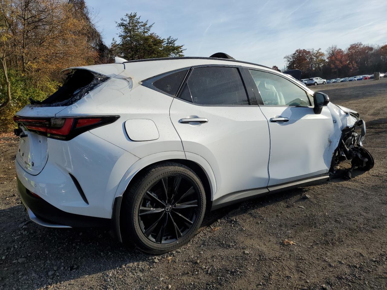 LEXUS NX 450H LUXURY