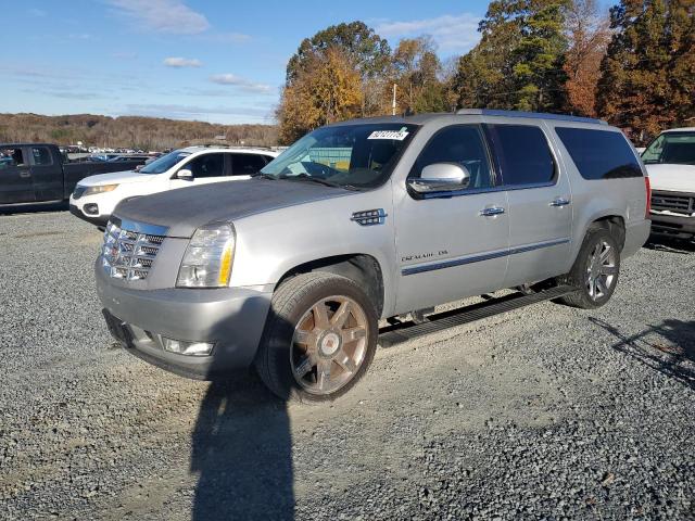 2010 CADILLAC ESCALADE E - 1GYUKJEF6AR225822