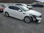 Lot #3304744929 2014 KIA OPTIMA EX