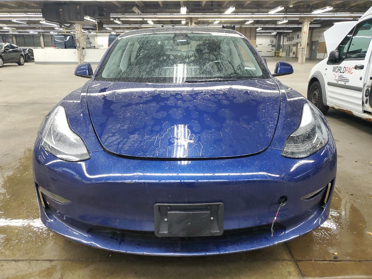 Lot #3303662946 2022 TESLA MODEL 3