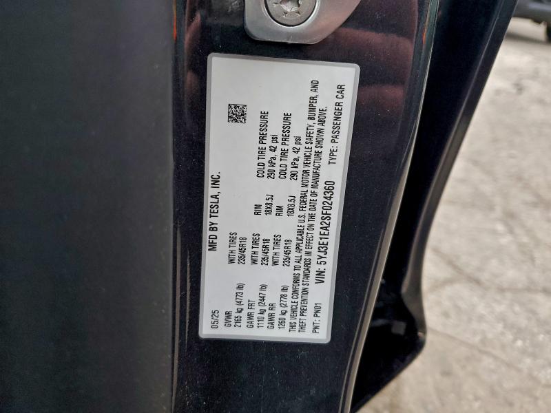 2025 TESLA MODEL 3 #3301791333